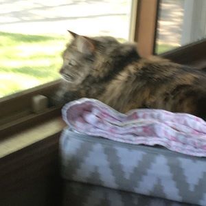 Meet your Posher, Kim